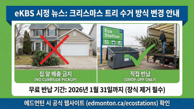 올해부터 크리스마스 트리 수거 방식 변경, 집 앞 배출 금지