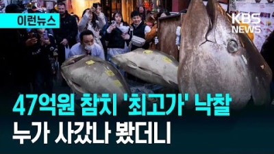 일본 참치 경매 최고가 경신…‘47억’짜리 누가 사갔나 봤더니…
