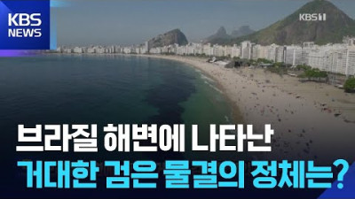 브라질 해변에 나타난 거대한 검은 물결의 정체는?